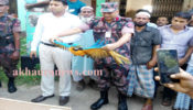 আখাউড়ায় সীমান্ত থেকে বিরল প্রজাতির ২৮টি পাখি উদ্ধার