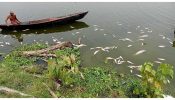 আখাউড়ায় বিএনপি নেতার মাছের প্রকল্প ধ্বংস করেছে আওয়ামী লীগের ক্যাডার বাহিনী