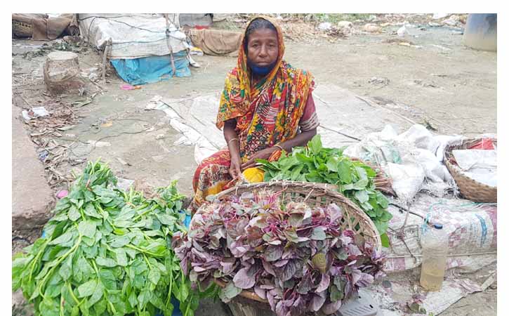 আখাউড়ায় ৮৫ বছর বয়সেও সংসার গড়ছেন রোকেয়া বেগম