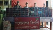 আখাউড়ায় পোনে তিন কোটি টাকার বিপুল পরিমান ভারতীয় মোবাইল ডিসপ্লে উদ্ধার