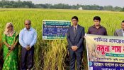 কসবায় মাঠ দিবস অনুষ্ঠিত