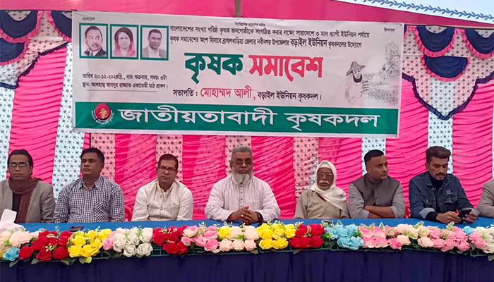 নবীনগরে কৃষক দলের সমাবেশ অনুষ্ঠিত