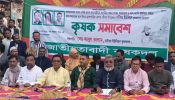 নবীনগরে কৃষকদলের কৃষক সমাবেশ অনুষ্ঠিত