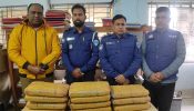 কসবায় ২২ কেজি গাঁজা উদ্ধার