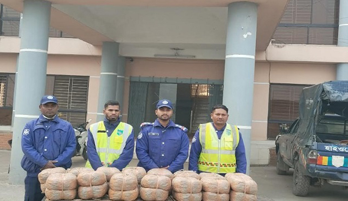 ৬০ কেজি গাঁজাসহ ট্রাক জব্দ