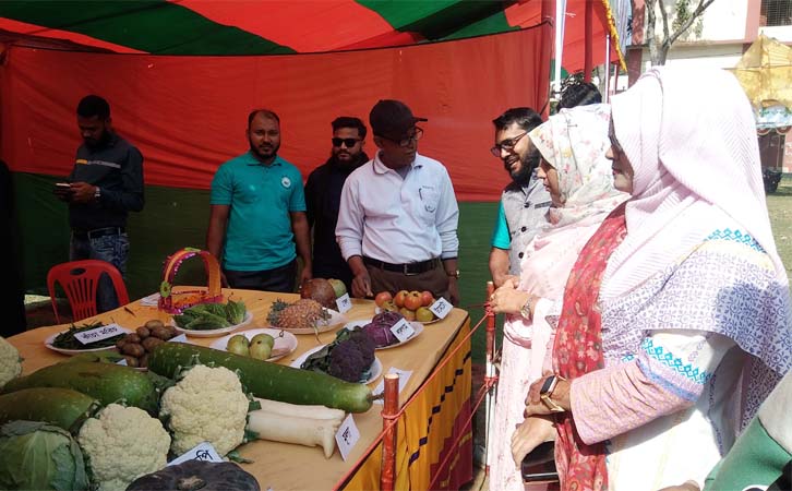আখাউড়ায় রঙ্গিন ফুলকপি, বড় আকারের লাউ