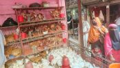 আখাউড়ায় ঈদের আগে লাগামহীন মুরগির বাজার