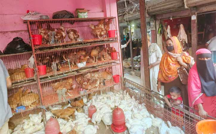 আখাউড়ায় ঈদের আগে লাগামহীন মুরগির বাজার