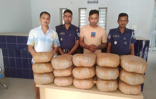 ব্রাহ্মণবাড়িয়ায় গাঁজাসহ আটক ১