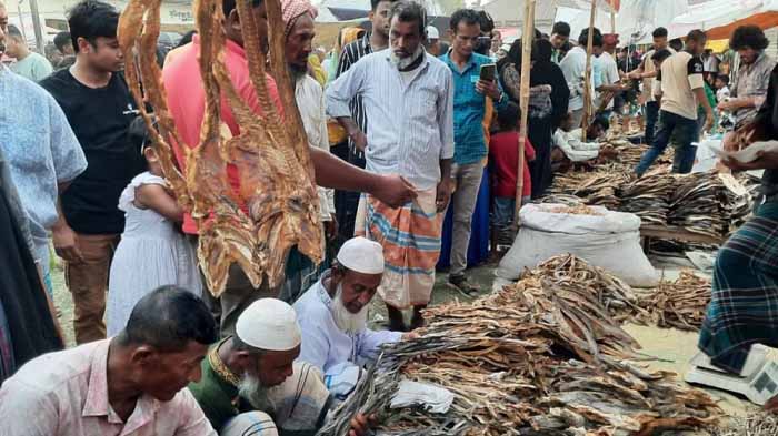 ব্রাহ্মণবাড়িয়ার ঐতিহ্যবাহী শুঁটকি মেলা: আগে বেচাকেনা ছিল বিনিময় প্রথায়, এখন নগদ টাকায়