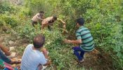 ব্রাহ্মণবাড়িয়ায় মহাসড়কের পাশে মিলল যুবকের মরদেহ