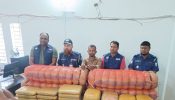ব্রাহ্মণবাড়িয়ায় ১১৬ কেজি গাঁজাসহ কারবারি গ্রেফতার