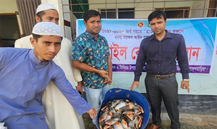 ব্রাহ্মণবাড়িয়ায় পিরানহা মাছ জব্দ, আড়তদারকে জরিমানা