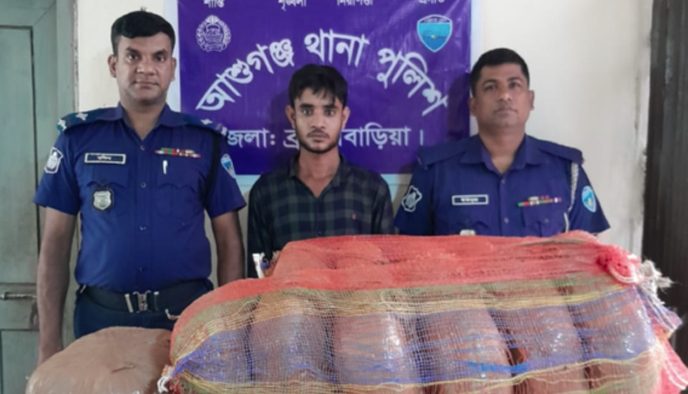 ব্রাহ্মণবাড়িয়ায় গাঁজাসহ মাদক কারবারি আটক