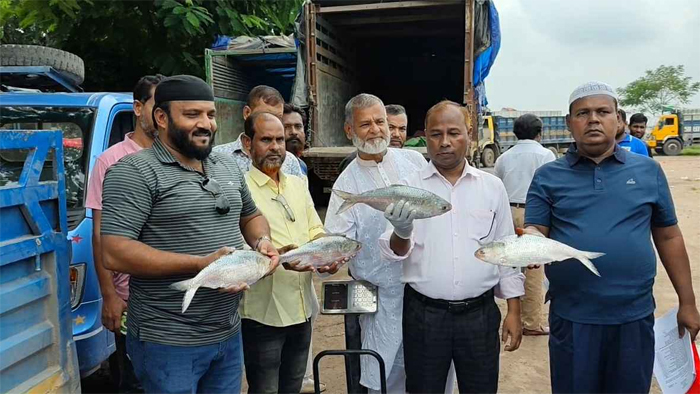 আখাউড়া স্থলবন্দর দিয়ে ভারতে গেলো ১২শ’ কেজি ইলিশ