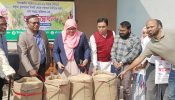আখাউড়ায় ধান সংগ্রহ শুরু