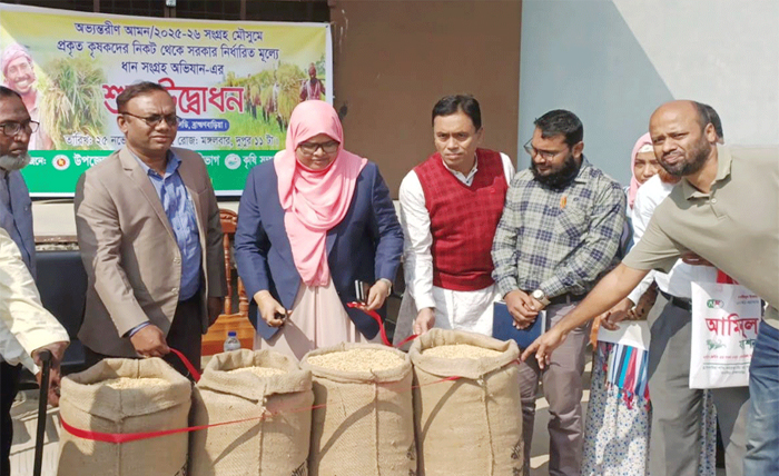 আখাউড়ায় ধান সংগ্রহ শুরু