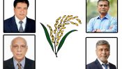 ব্রাহ্মণবাড়িয়ায় ৪টি আসনে বিএনপি একক প্রার্থী হলেন যারা