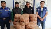 আখাউড়ায় ৩৬ কেজি গাঁজাসহ দুই যুবক গ্রেফতার