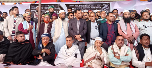 আমি ইনশাআল্লাহ এমপি হবো, আমার খেজুর গাছকে যদি আপনারা ধানের শীষ বানান : জুনায়েদ আল হাবীব