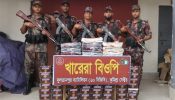 ব্রাহ্মণবাড়িয়ায় ৫১ লাখ টাকার ভারতীয় চোরাচালানী পণ্য জব্দ