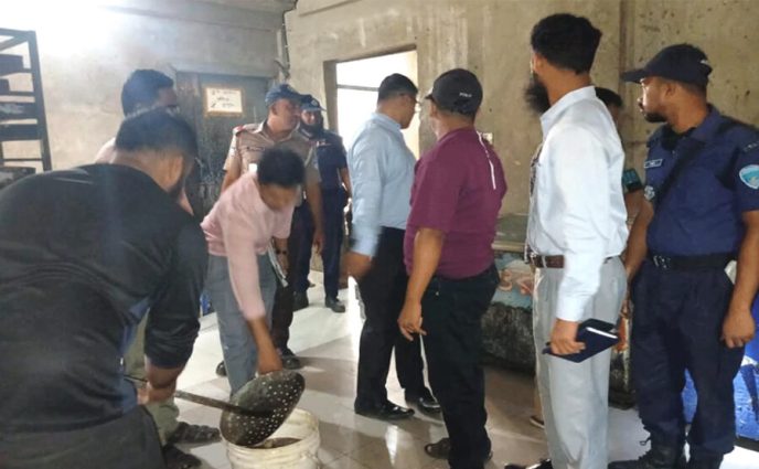 ব্রাহ্মণবাড়িয়ায় মিষ্টির সিরায় মরা পোকা, অস্বাস্থ্যকর পরিবেশে বেকারি পণ্য তৈরি; জরিমানা ১ লাখ